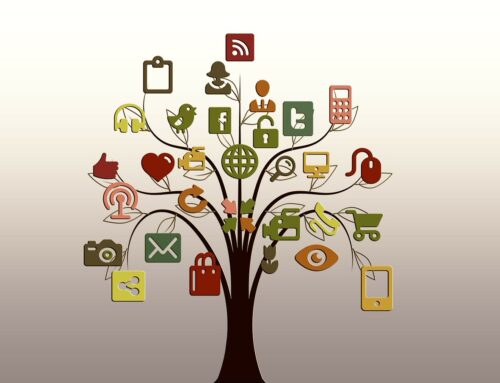 Social Media Audit for business Growth